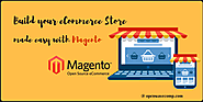 Types Of Magento Solutions Partners Available For Making Your eCommerce Website!