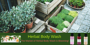 Nourish your body naturally with Herbal Body Wash