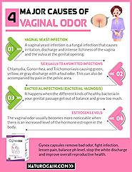 4 Major Reasons for Vaginal Odor