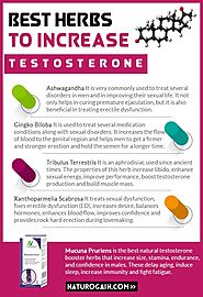 Testosterone Booster Herbs for Men, Increase Libido