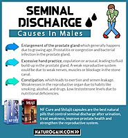 Causes of Seminal Discharge During Stool Passing in Males