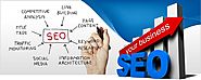 Grow Your Business & Leads with SEO
