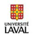ULaval: MRK-6005 Web Analytics