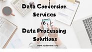 Data Conversion Services and Data Processing Management