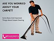 Some Important Things In Carpet Cleaning
