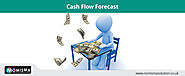 Cash Flow Forecast - Why use a Cash Flow Forecast?