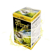 Fezes Oyster Gold - Liệu trình dứt điểm yếu sigh lý mới nhất 2019