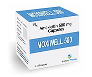 Amoxicillin Capsules Manufacturers, Suppliers in India - Wellona Pharma