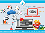 CMS Application Development Services | CMS Website Development Services India