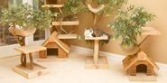 Cat Tree Houses