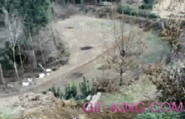 funny bike jumping fail | Funny People Images- Gif-King.com