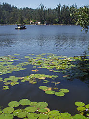 Places to visit in Kodaikanal - Princess of Hill Stations - South India tour