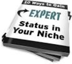 You help establish yourself as an expert in your niche.
