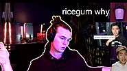 RICEGUM SCAMS AND VIEWBOTTING