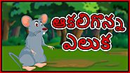 ఆకలిగొని ఎలుక | The Hungry Rat | Panchatantra Moral Story for Kids | Telugu Kartun | Chiku TV Telugu