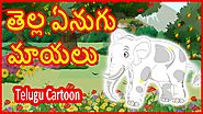 తెల్ల ఏనుగు మాయలు | The Magic of The White Elephant | Telugu Moral Story | తెలుగు కార్టూన్