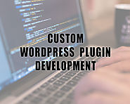 Detailed Guide On Custom WordPress Plugin Development