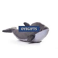 Dolphin Soft Toy Online