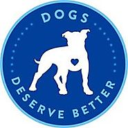 01,3fb / Dogs Deserve Better