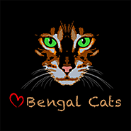 01,3fb / Bengal Cats