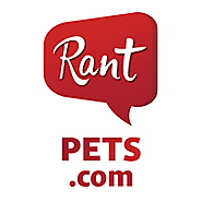 01,1fb / Rant Pets