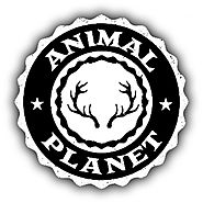 01,3yt / Animal Planet Videos