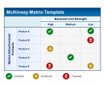 Free McKinsey Matrix PowerPoint Template Product Profitability | SlideHunter.comSlideHunter.com