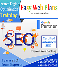 Best SEO Company in Patiala - Easy Web Plans