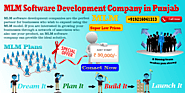 MLM Software Development in Punjab