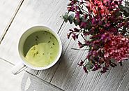 How to Make a Cup of Matcha Green Tea? – matchateacompany