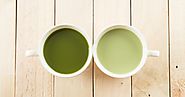 Matcha Tea Company - Buy Matcha Green Tea Online