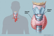 10-symptoms-of-thyroid-problem/