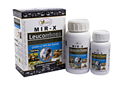 MIR-X Leucorrhoea Remedy