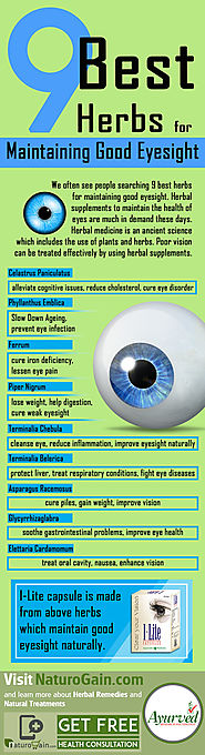 9 Best Herbs for Maintaining Good Eyesight