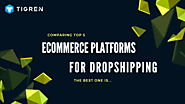 Comparing Top 5 Ecommerce Platforms For Dropshipping. The Best Is?