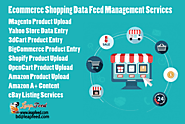 E-commerce Feed Management Services