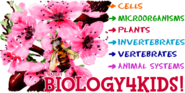 Rader's BIOLOGY 4 KIDS.COM - Biology basics for everyone!