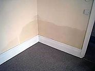 Are You Living Out Because of Rising Damp Issue? 3 Reasons To Call Anglian Preservation