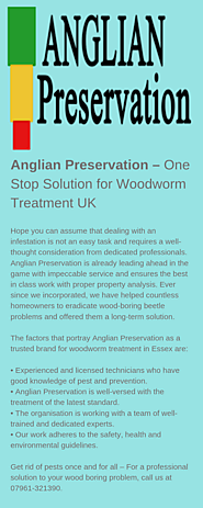 Anglian Preservation – One Stop Solution for Woodworm Treatment UK