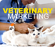 Veterinary SEO - SEO for Veterinary - ConnectIT SEO