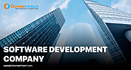 Leading Software Application Development Company