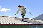 Basic Guide To Painting Your Residential Roof Effectively