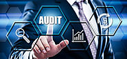 Chartered Accountant Work As a Audit Expert