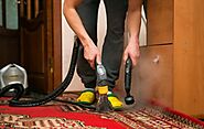 What is The Best Type of Professional Carpet Cleaning?