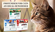 Profender For Cats: An Ideal Dewormer