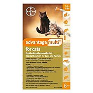 Cheap Advantage Multi for Cats : Buy Advantage Multi Flea and Heartworm for Cats