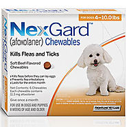 Buy Nexgard one month flea and tick pill For small Dogs