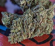 Buy Bubba Kush Online | Where Can I Buy Bubba Kush Online