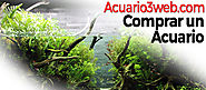 Guía para Comprar un Acuario ჱ Comparativa 2019 |▷ Acuario3web.com