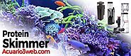 Todo sobre el Skimmer para acuario marino 2019 |▷ Acuario3web.com
